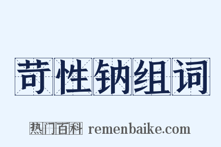 苛性钠组词是什么意思的图片